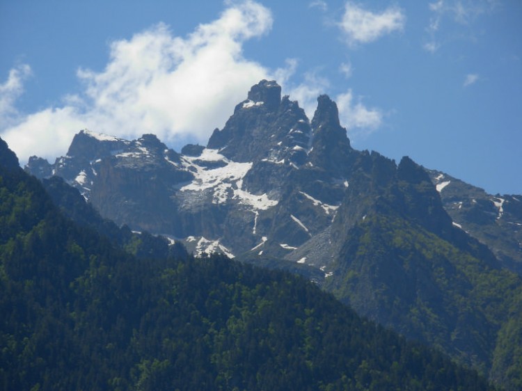 DSCN1209