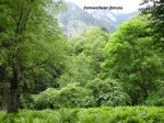 DSC05130.jpg