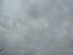 SDC10282.JPG