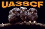 ua3scf-qsl.jpg