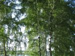 IMG_0569.JPG