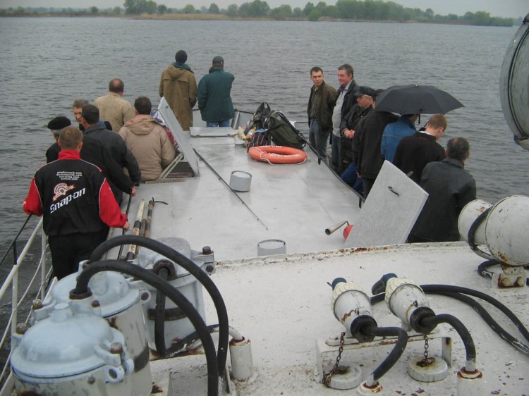      2006