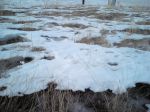 DSC00878.JPG