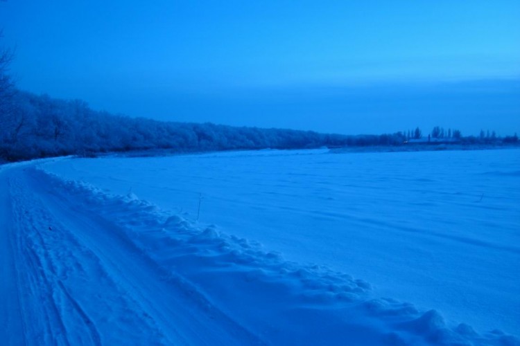 -20