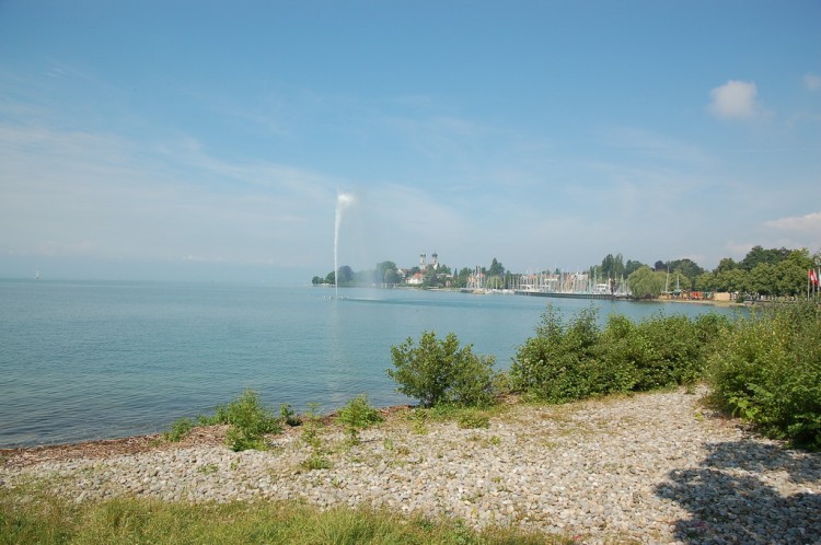  2009