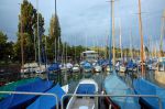 DSC_1784.jpg