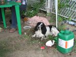 2009_075_.jpg