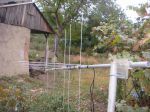 DSC04254.JPG