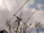 DSC04308.JPG
