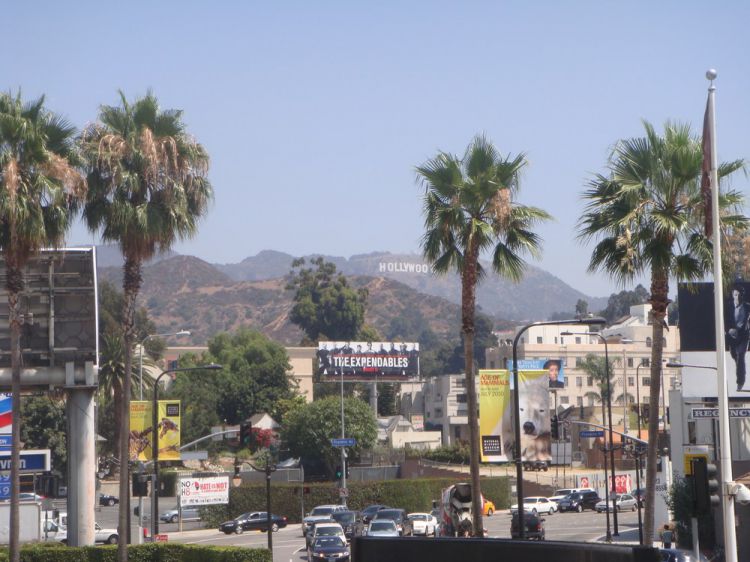 DSC06013