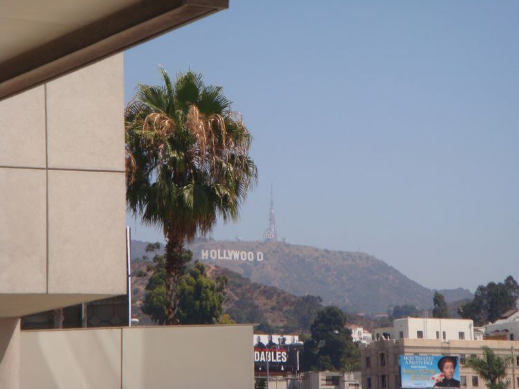 DSC06019