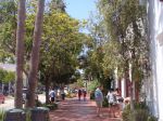 DSC06156.JPG