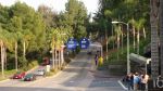 DSC07061.JPG