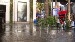 DSC07071.JPG