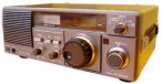 31r600.jpg